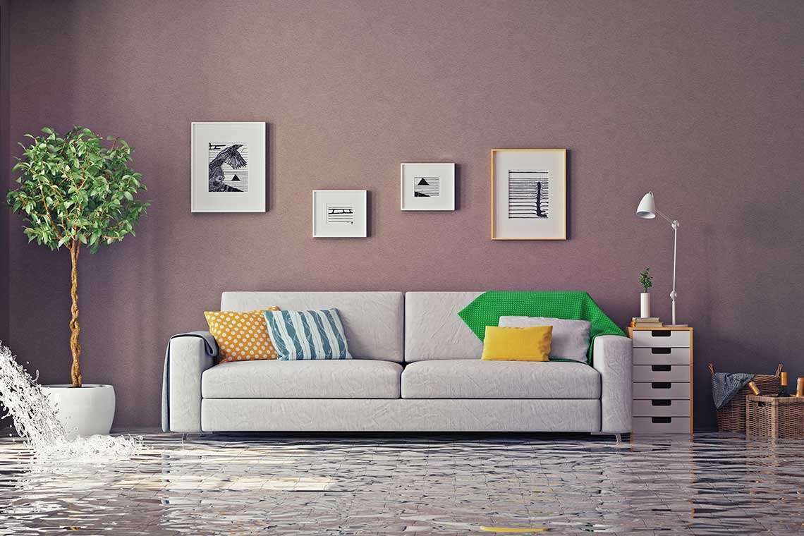 protect-home-from-flooding-st-petersburg-photo