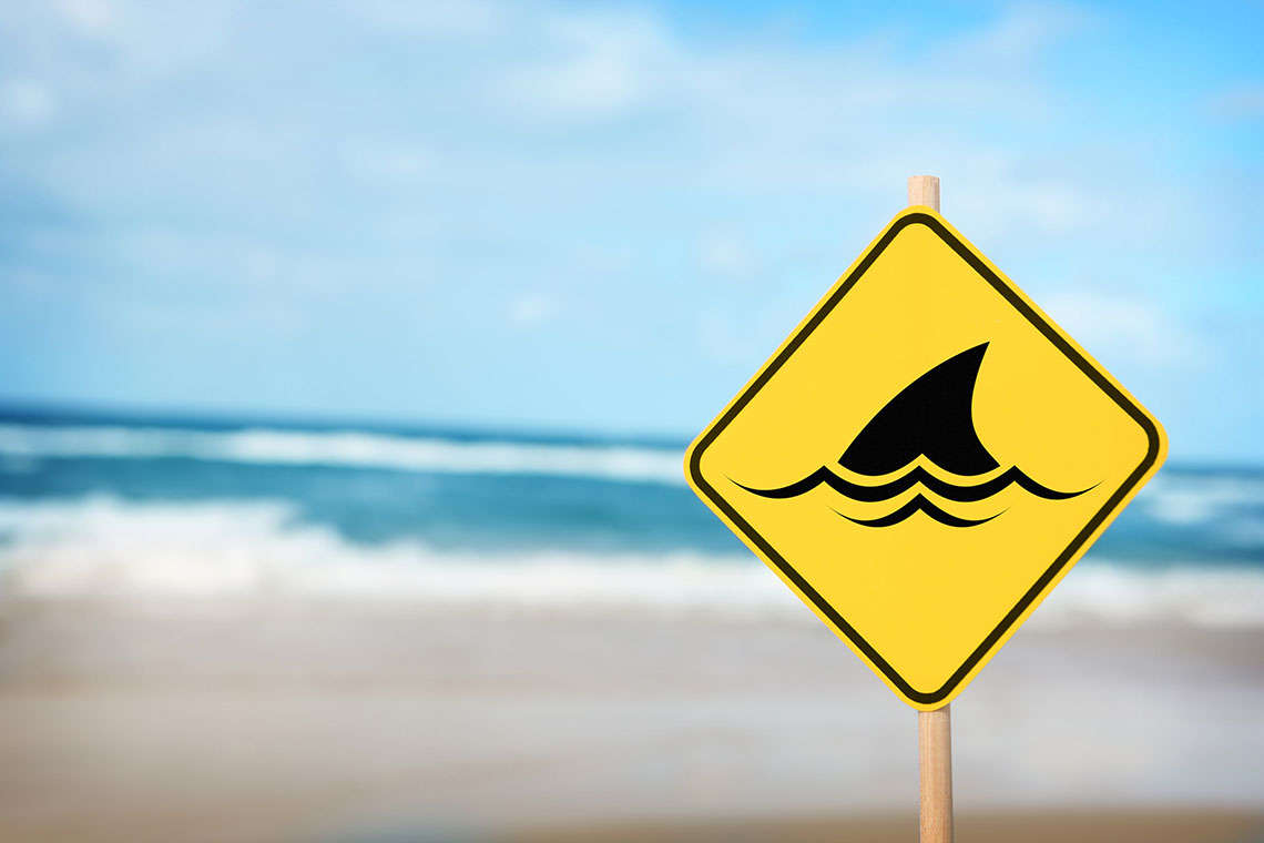 shark-attack-facts-and-myths-photo