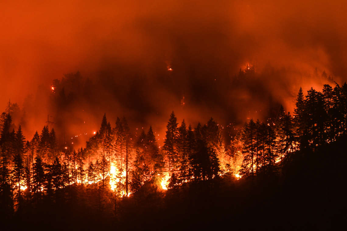 FTP_Ben-Wildfire_Blog-Photo